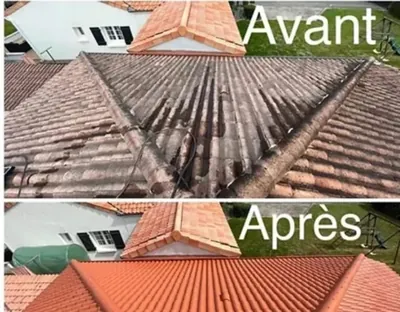 Entretien de toiture : avant et après